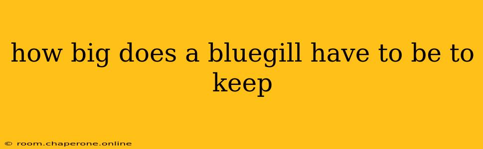 how big does a bluegill have to be to keep