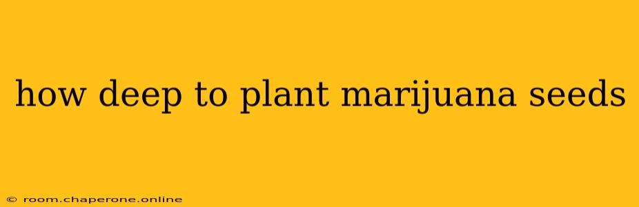 how deep to plant marijuana seeds