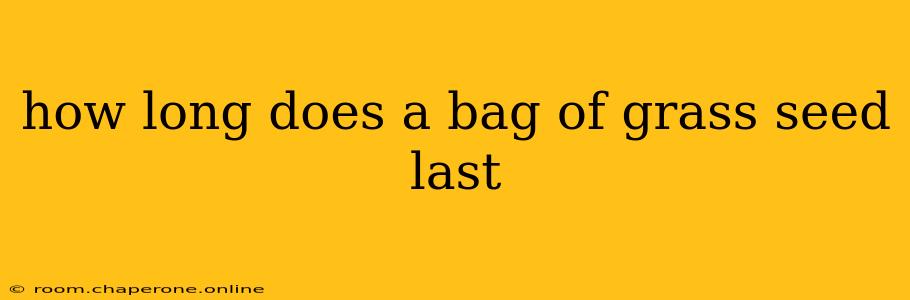 how long does a bag of grass seed last