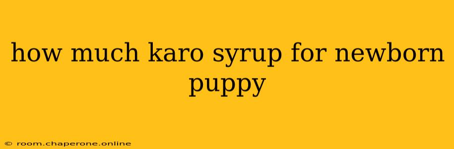 how much karo syrup for newborn puppy