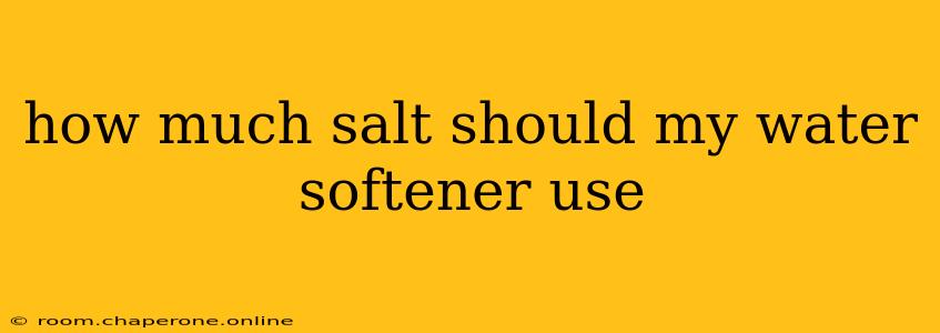 how much salt should my water softener use