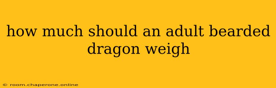 how much should an adult bearded dragon weigh