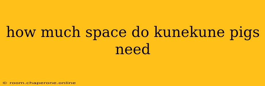 how much space do kunekune pigs need