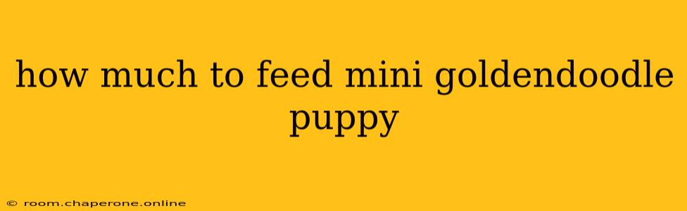 how much to feed mini goldendoodle puppy