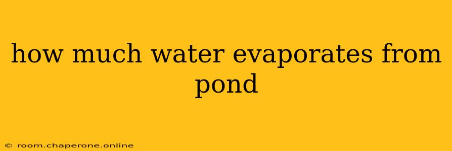 how much water evaporates from pond