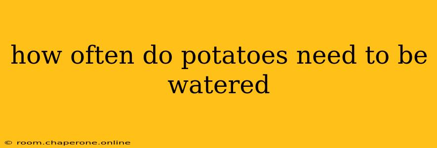 how often do potatoes need to be watered