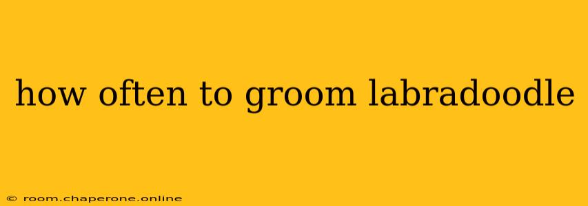 how often to groom labradoodle