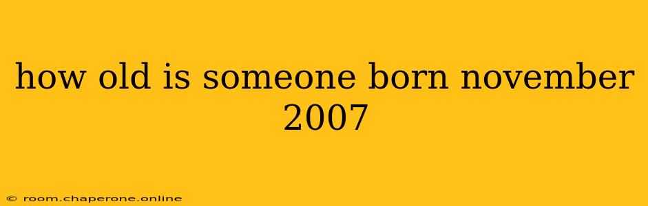 how old is someone born november 2007