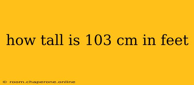 how tall is 103 cm in feet