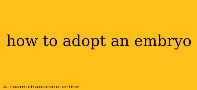 how to adopt an embryo