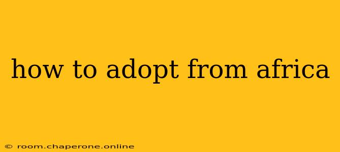 how to adopt from africa