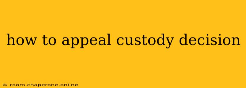 how to appeal custody decision