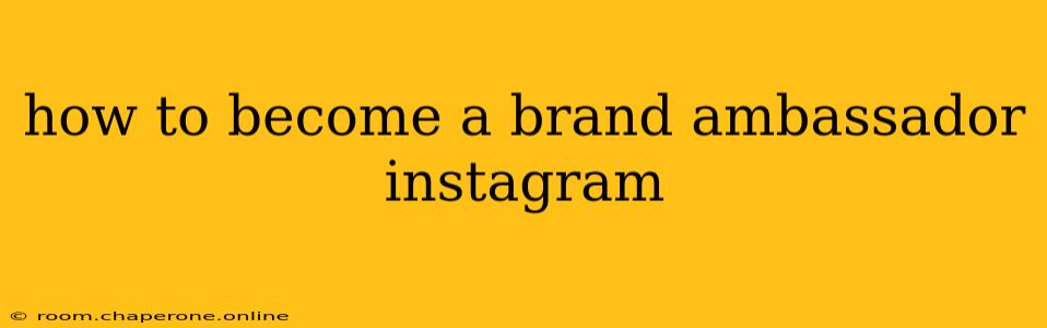 how to become a brand ambassador instagram