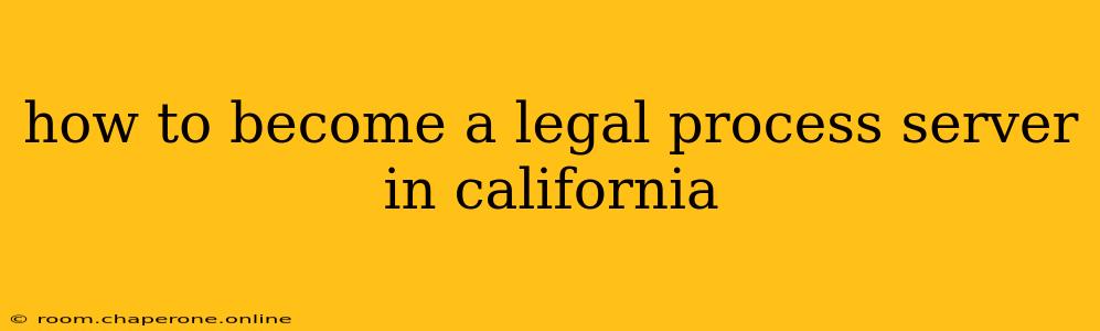 how to become a legal process server in california