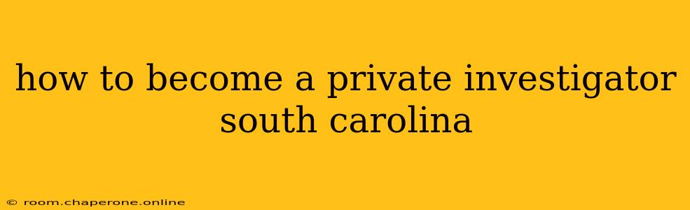 how to become a private investigator south carolina