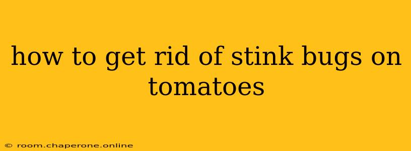 how to get rid of stink bugs on tomatoes