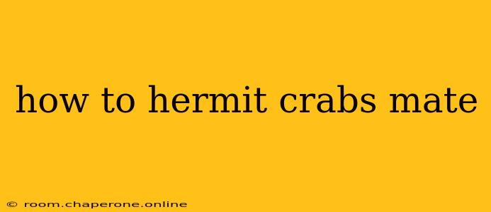 how to hermit crabs mate