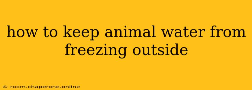 how to keep animal water from freezing outside