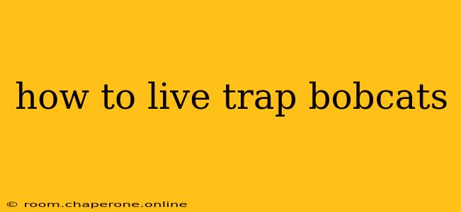 how to live trap bobcats