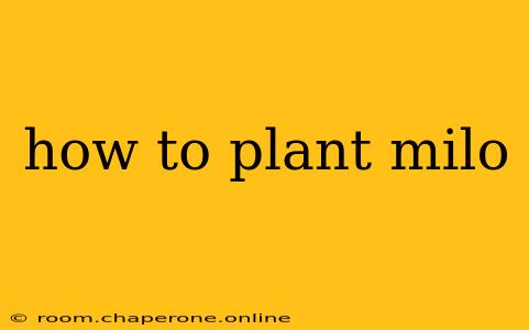 how to plant milo