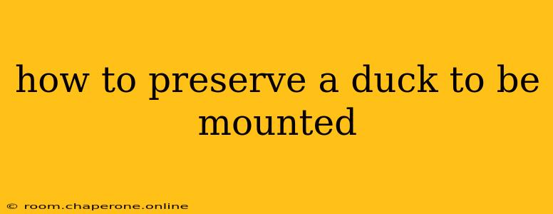 how to preserve a duck to be mounted