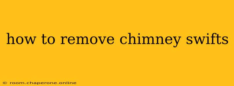 how to remove chimney swifts