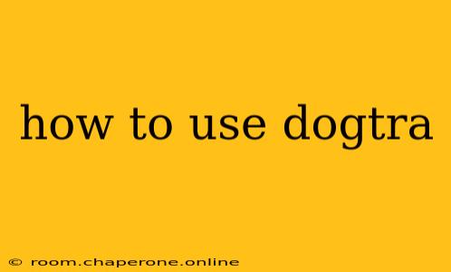 how to use dogtra